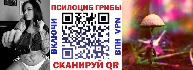 Купить закладки Стрежевой Псилоцибиновые грибы ЛСД